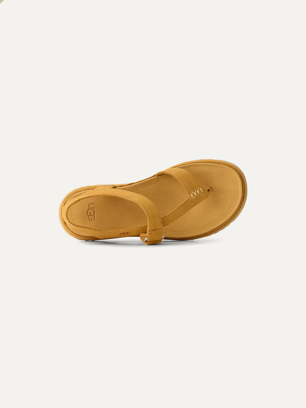 Dam GoldenGaze Tåpost Sandal